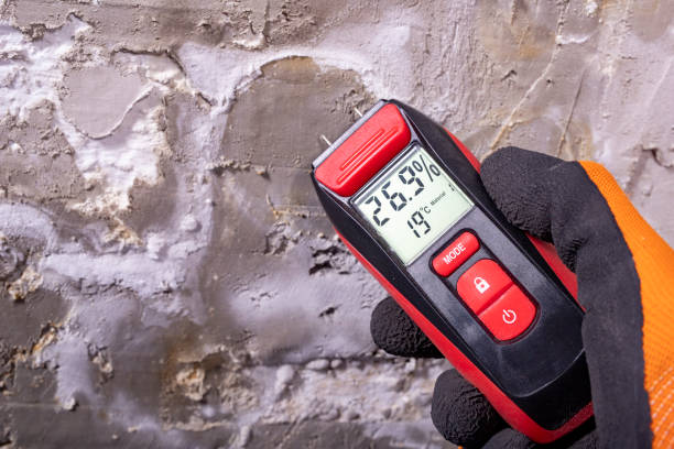 Best Crawl Space Mold Remediation in Eunice, LA