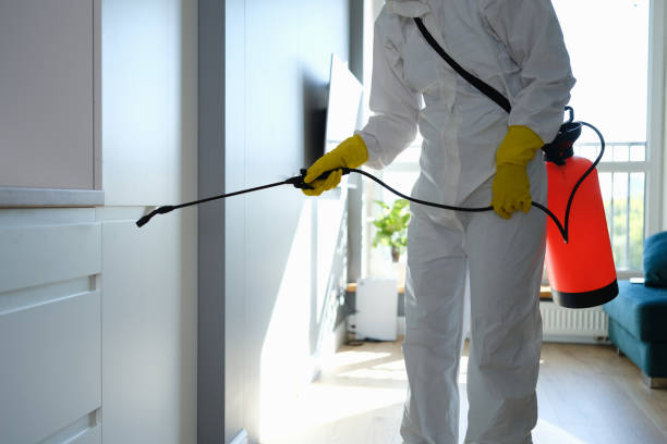 Best Industrial Mold Remediation in Eunice, LA